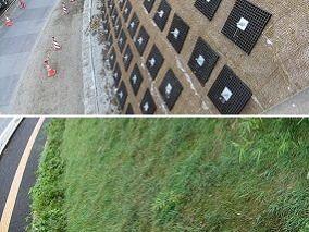 植生マット併用例