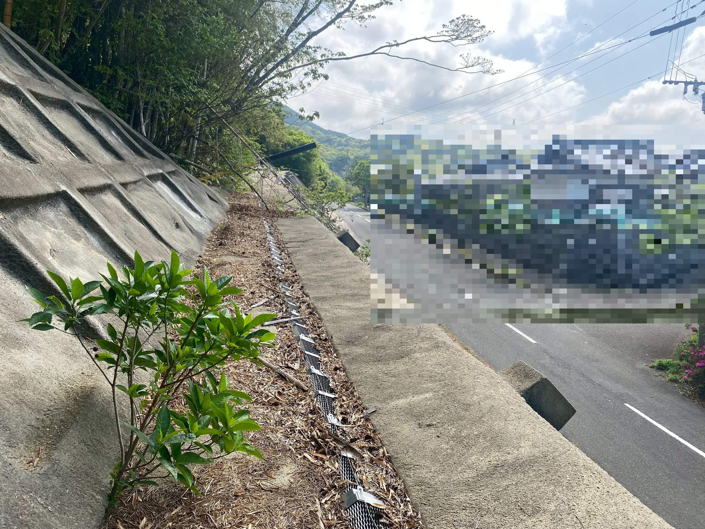 設置後（4年1ヶ月後）