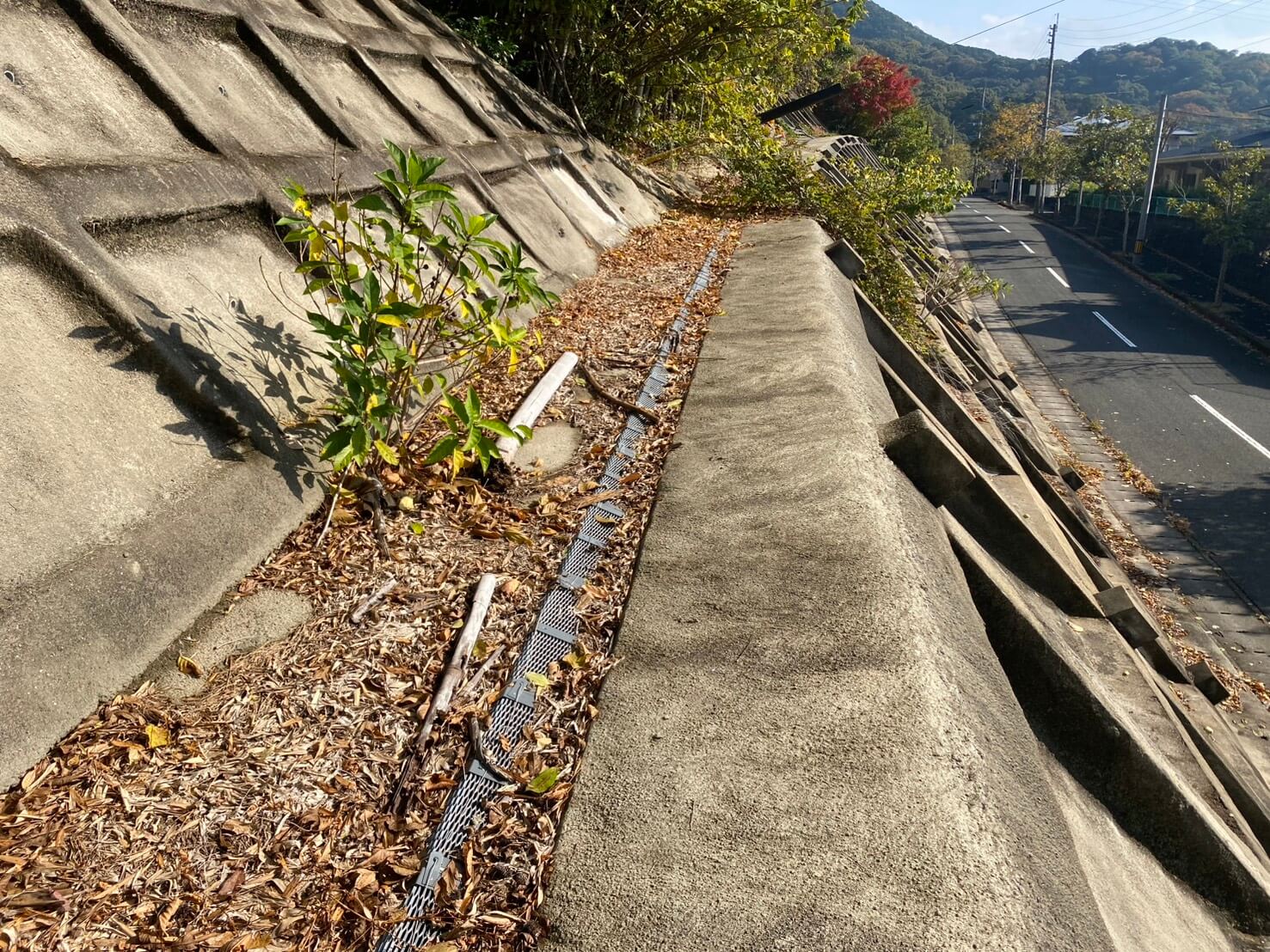 設置後(4年8ヶ月後)