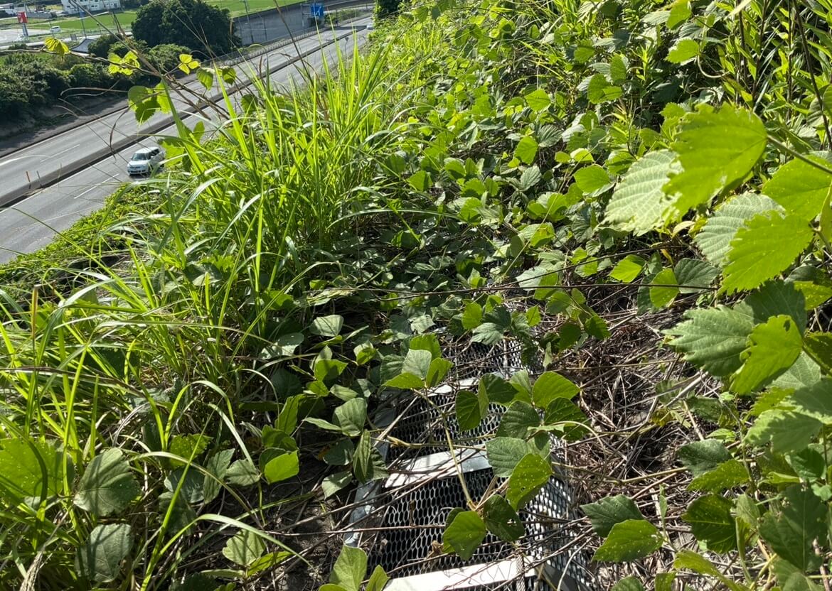 設置後(5年1ヶ月後)