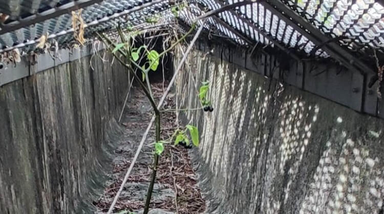 設置後内部（4年7ヶ月後）