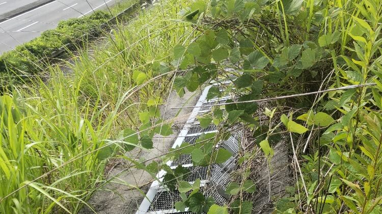 設置後（3年3ヶ月後）