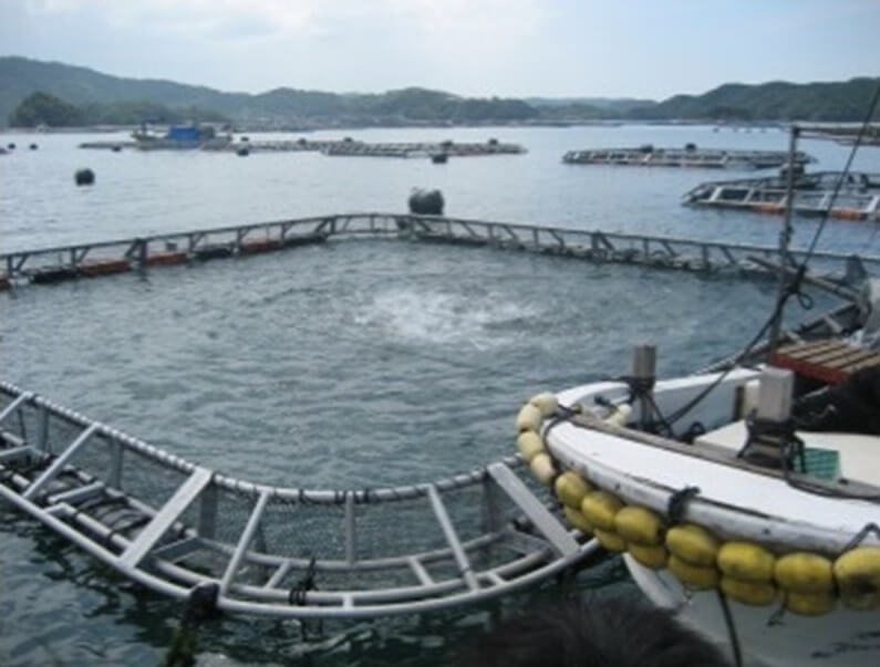 魚養殖用生簀枠