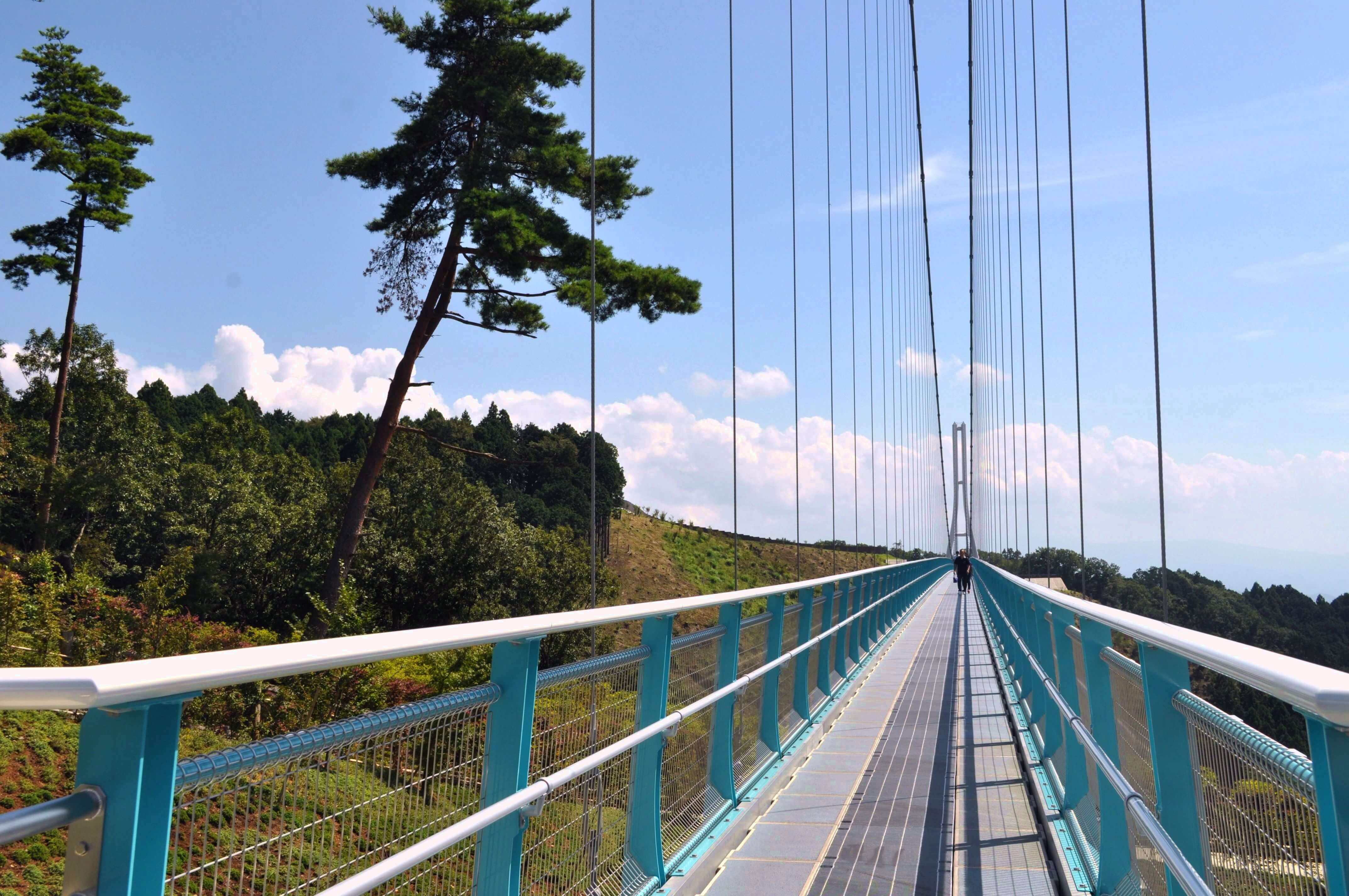吊り橋 の 床板グレーチング の使用実績